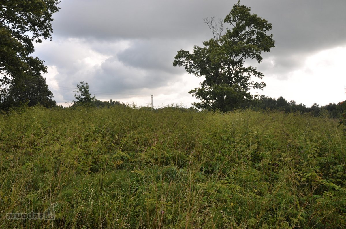 Parduodu 3,2 ha. sklypą Švenčionių aps. - nuotraukos Nr. 2