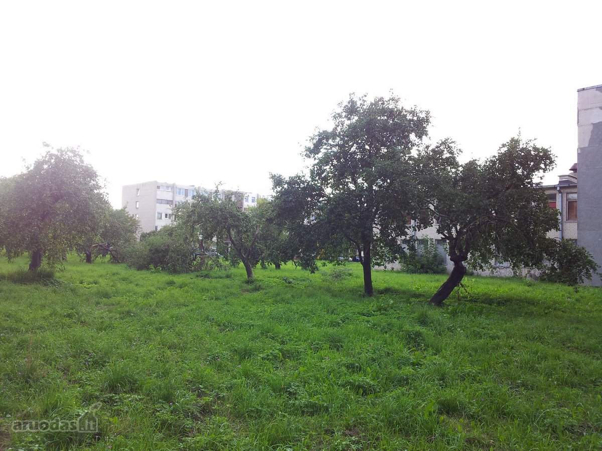 Miesto Ligoninė, Santechnika Visose Palatose . - nuotraukos Nr. 9