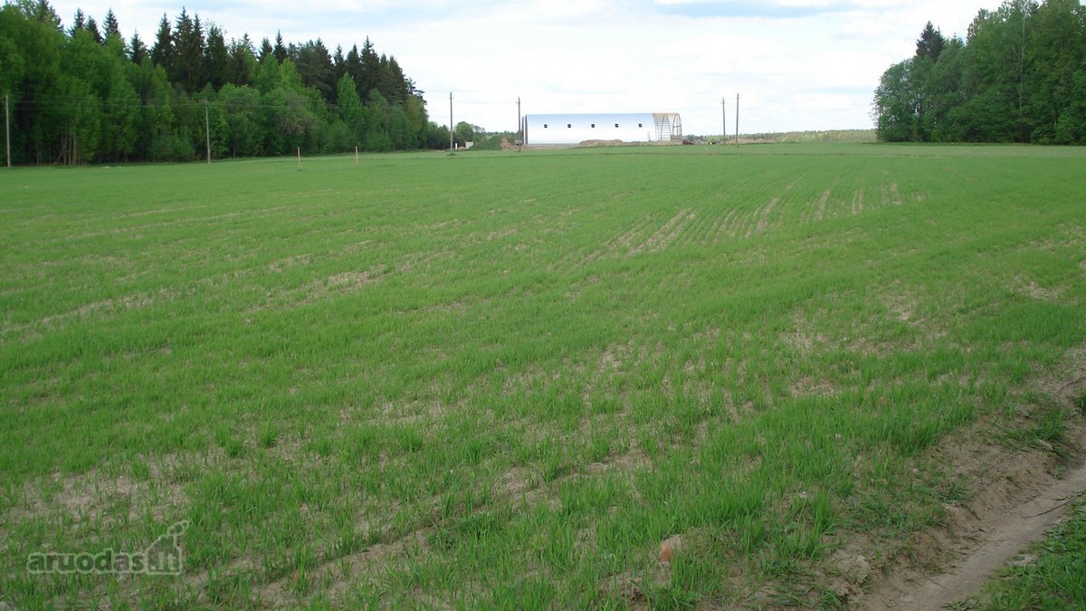 1) Jaunystės g. 78, Naujakiemio k.,