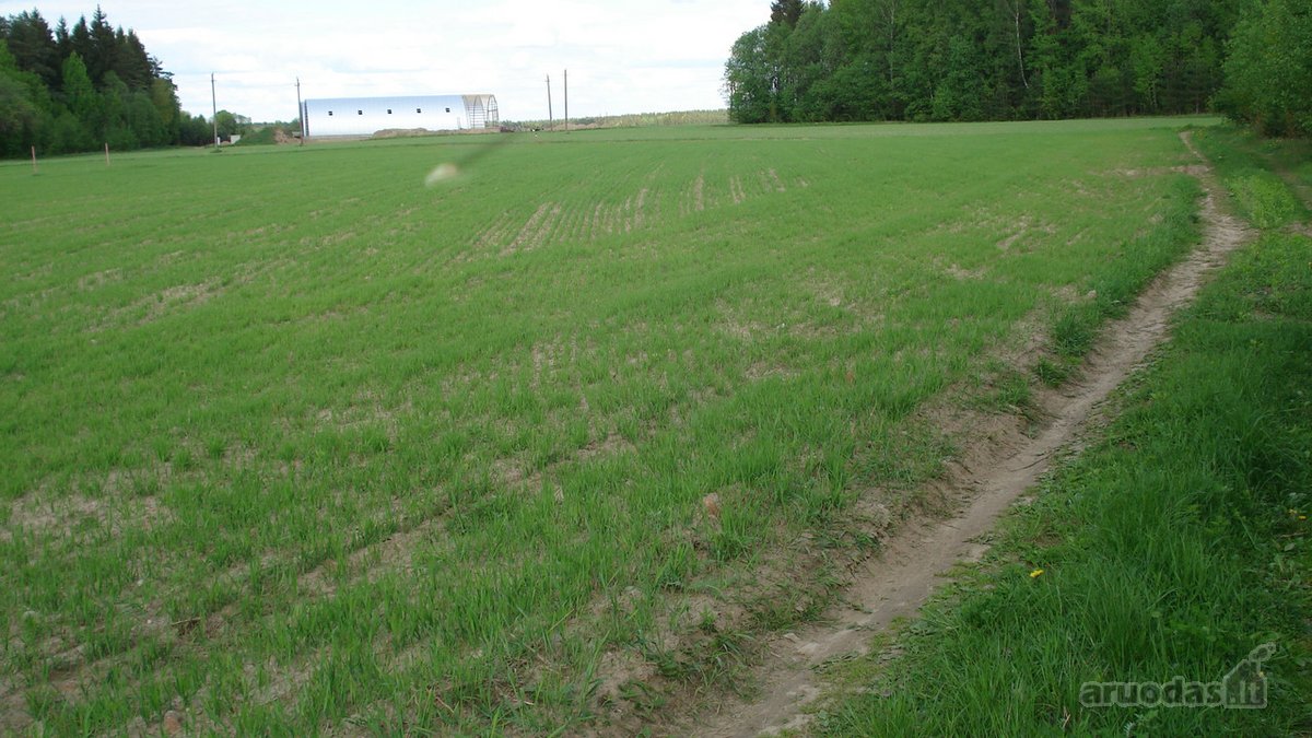1) Jaunystės g. 78, Naujakiemio k., - nuotraukos Nr. 2