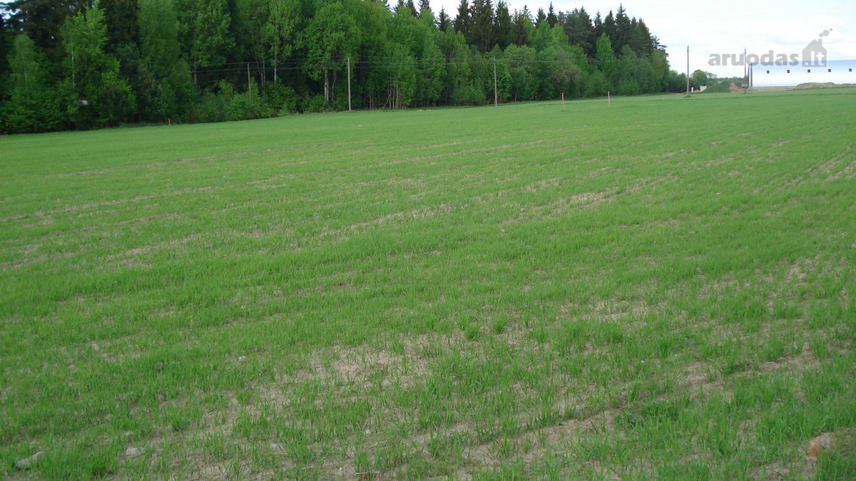 1) Jaunystės g. 78, Naujakiemio k., - nuotraukos Nr. 3