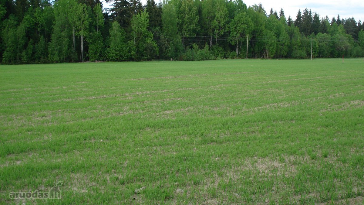 1) Jaunystės g. 78, Naujakiemio k., - nuotraukos Nr. 4