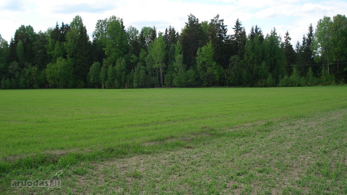 1) Jaunystės g. 78, Naujakiemio k., - nuotraukos Nr. 5