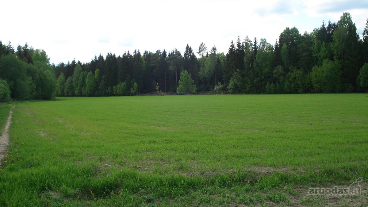 1) Jaunystės g. 78, Naujakiemio k., - nuotraukos Nr. 6