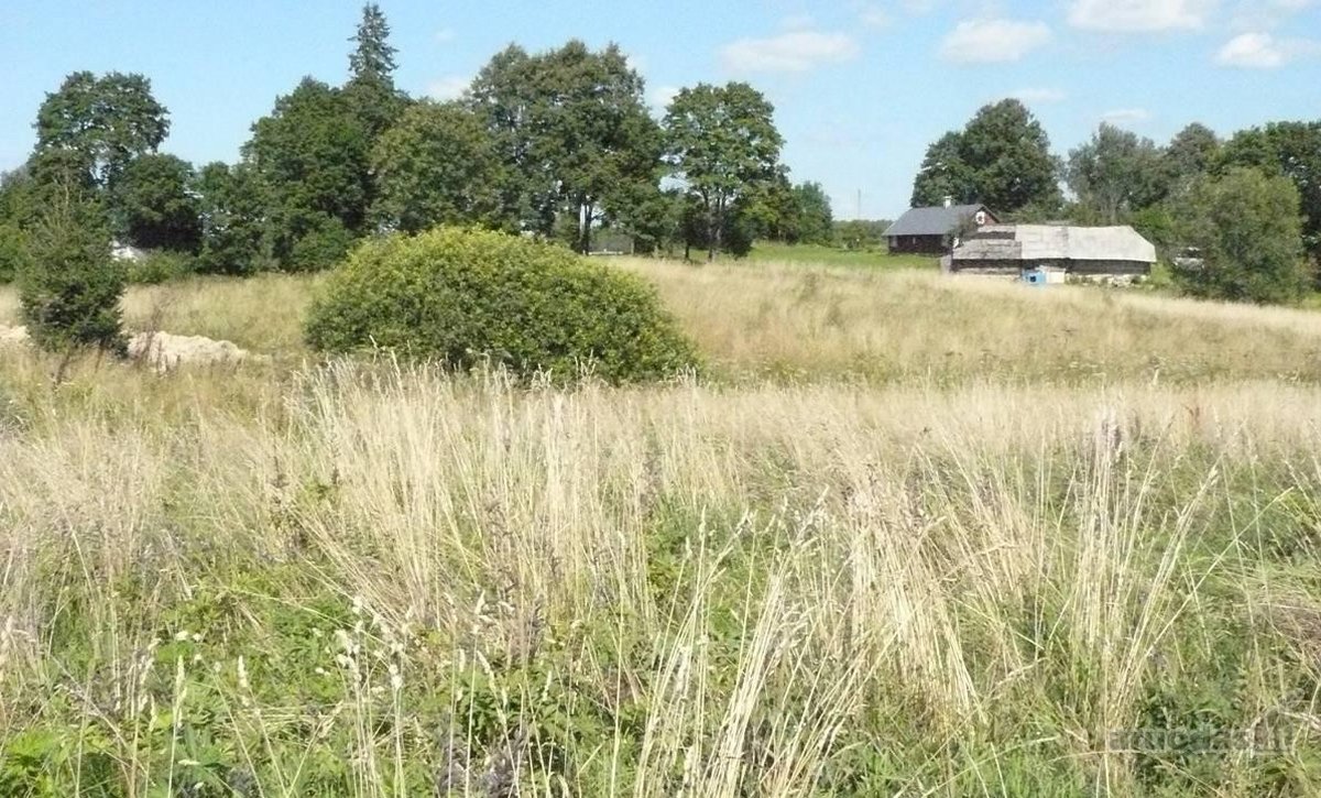 Parduodamas net 14.5 Ha Žū sklypas,