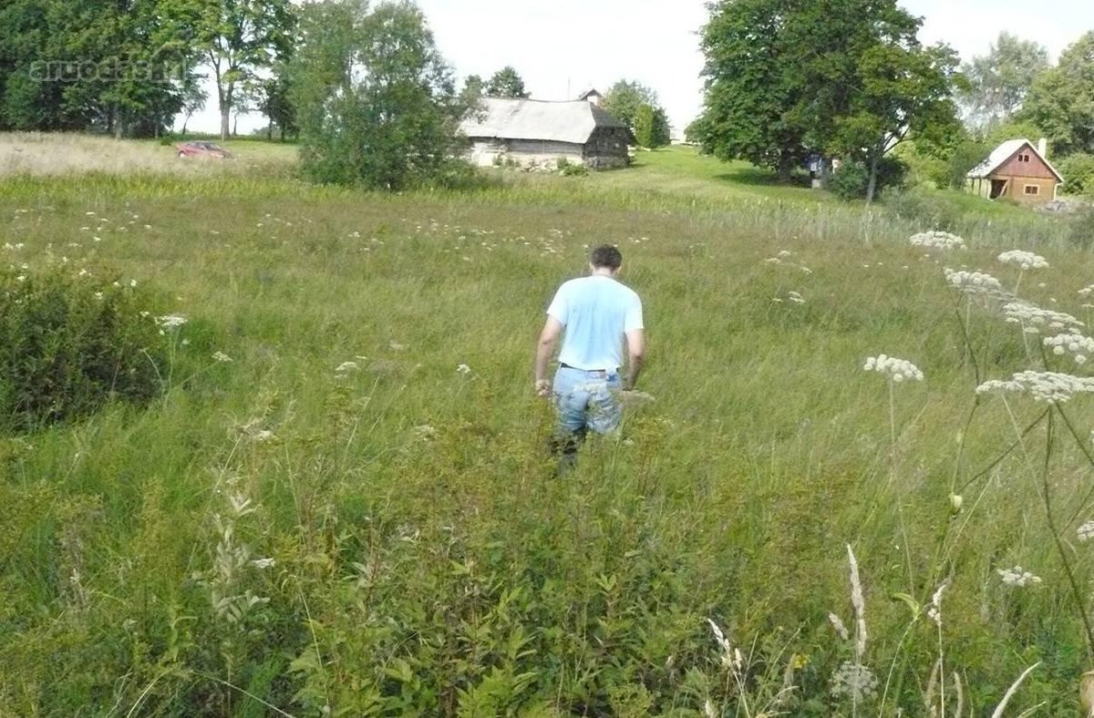Parduodamas net 14.5 Ha Žū sklypas, - nuotraukos Nr. 2