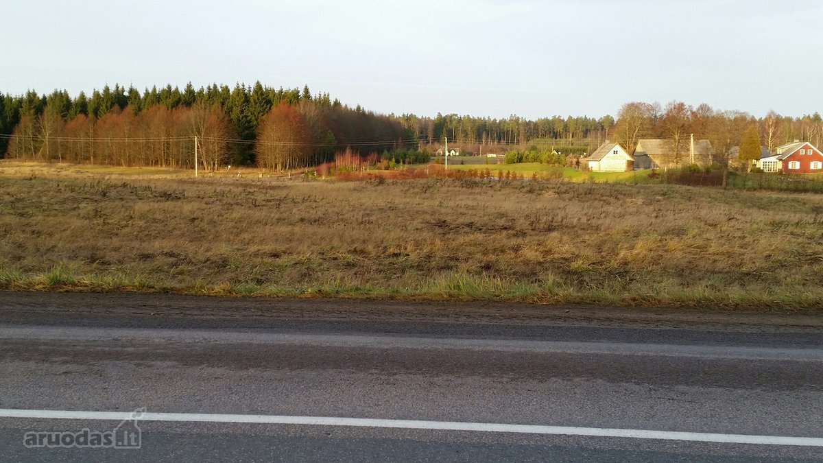 Lekėčių kaime, Šakių rajone, ramioje, - nuotraukos Nr. 9