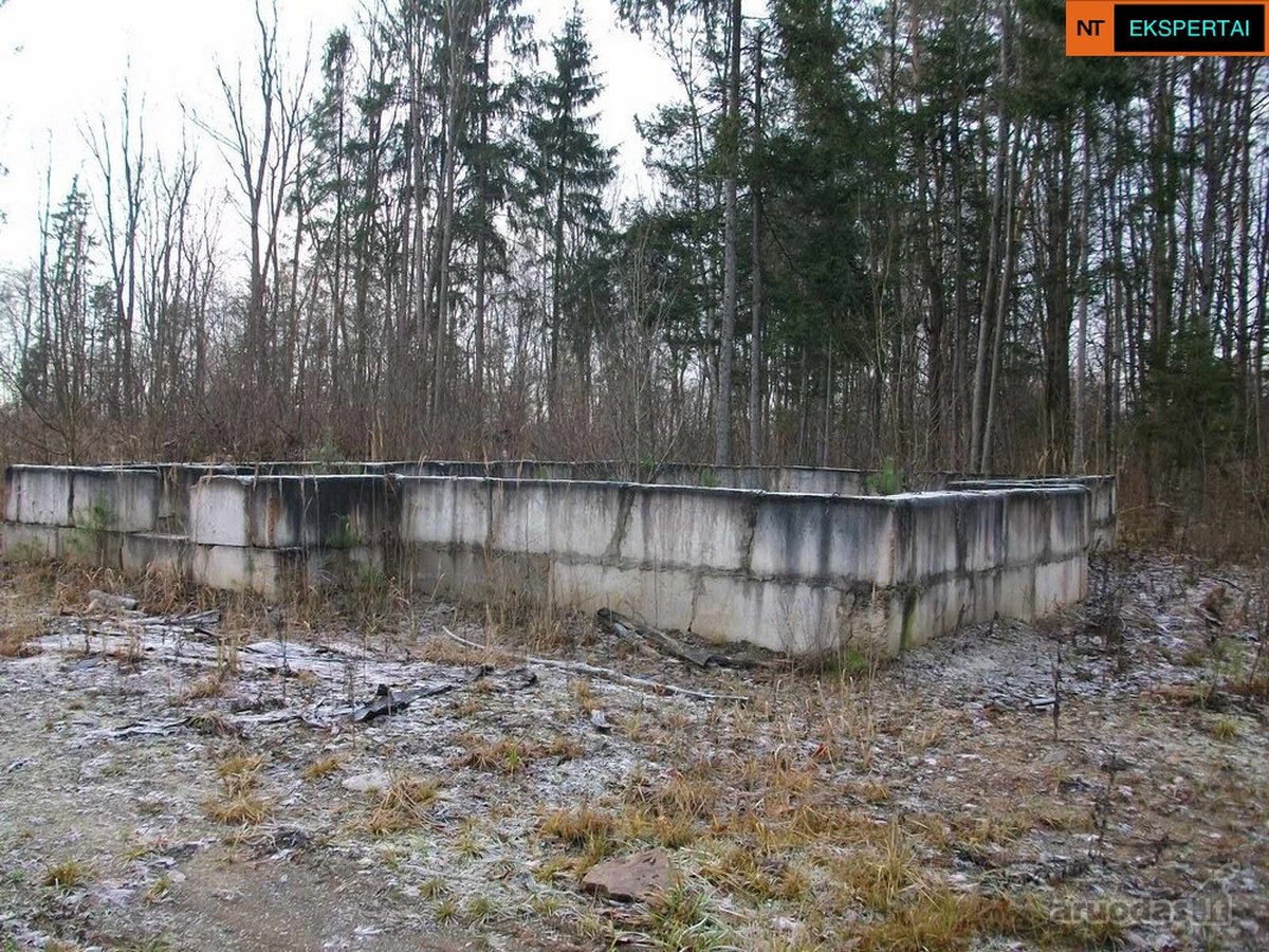 Vilniaus rajone,čekoniškių kaime,buivydiškių - nuotraukos Nr. 8