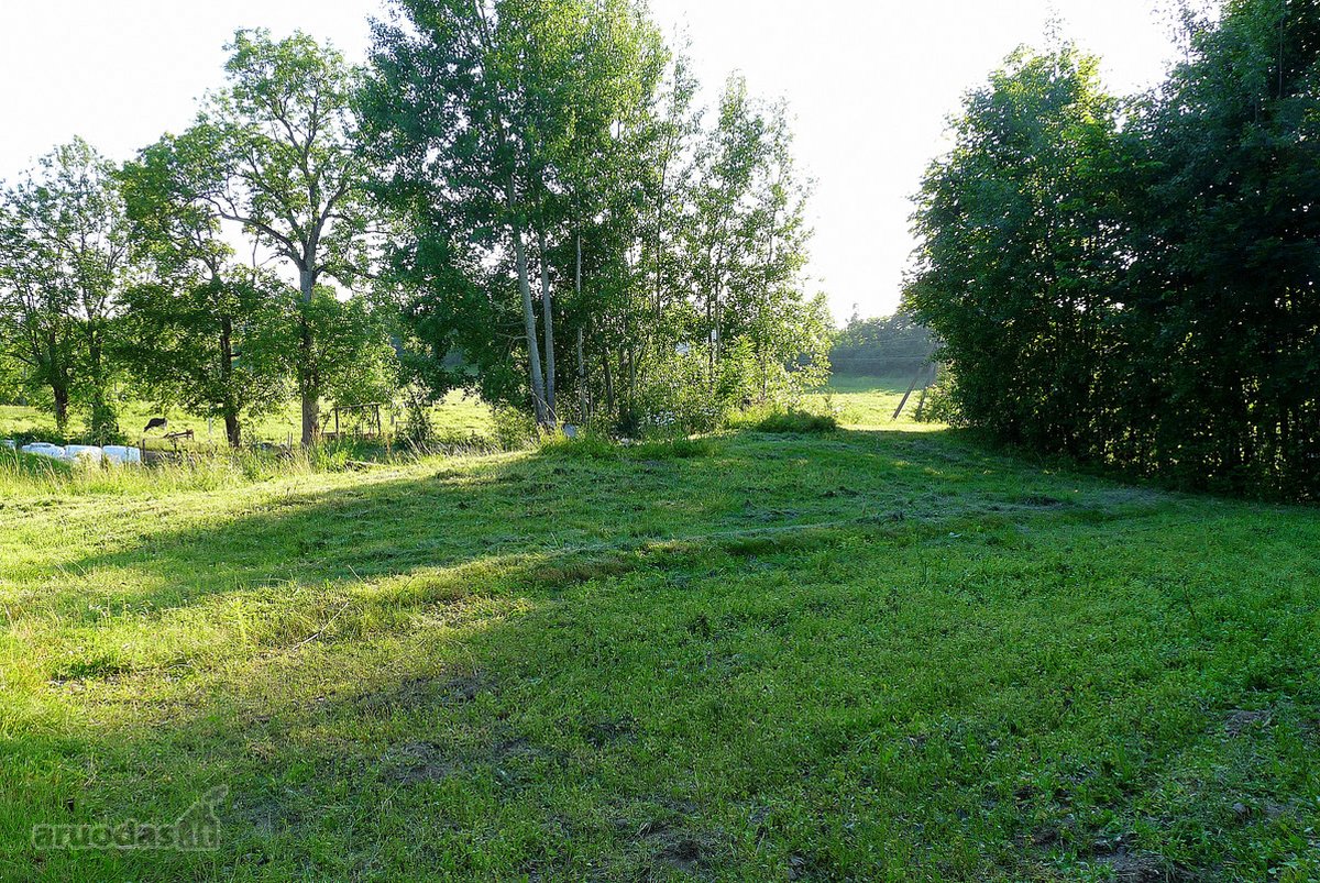 Saugykla, rūsys, gamybinės, sandėliavimo - nuotraukos Nr. 8