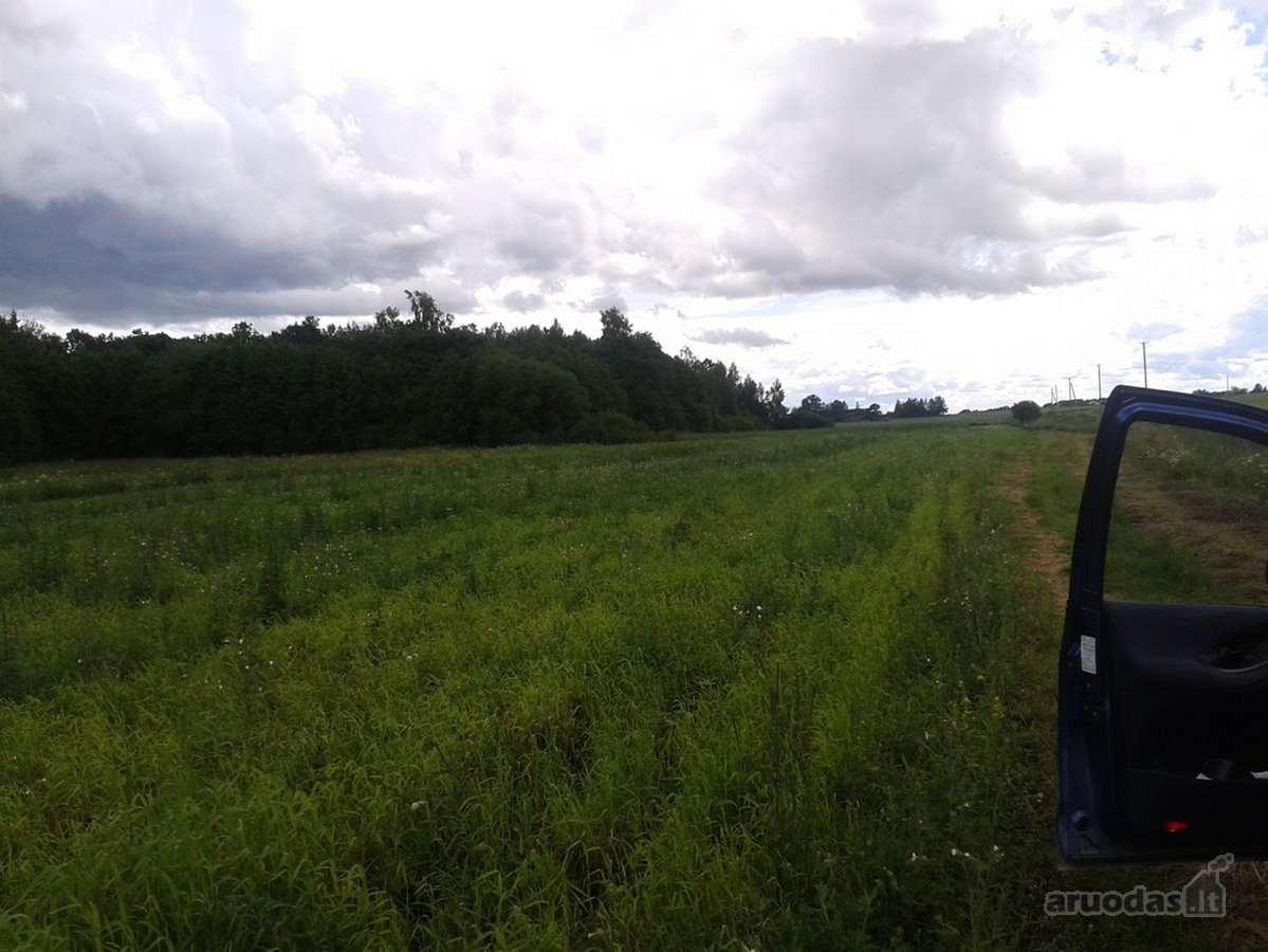 Parduodu (Išnuomoju) sklypą pamiškėje 4ha - nuotraukos Nr. 2