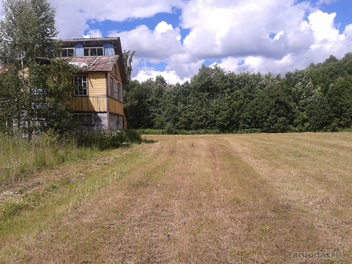 Parduodu (Išnuomoju) sklypą pamiškėje 4ha - nuotraukos Nr. 4