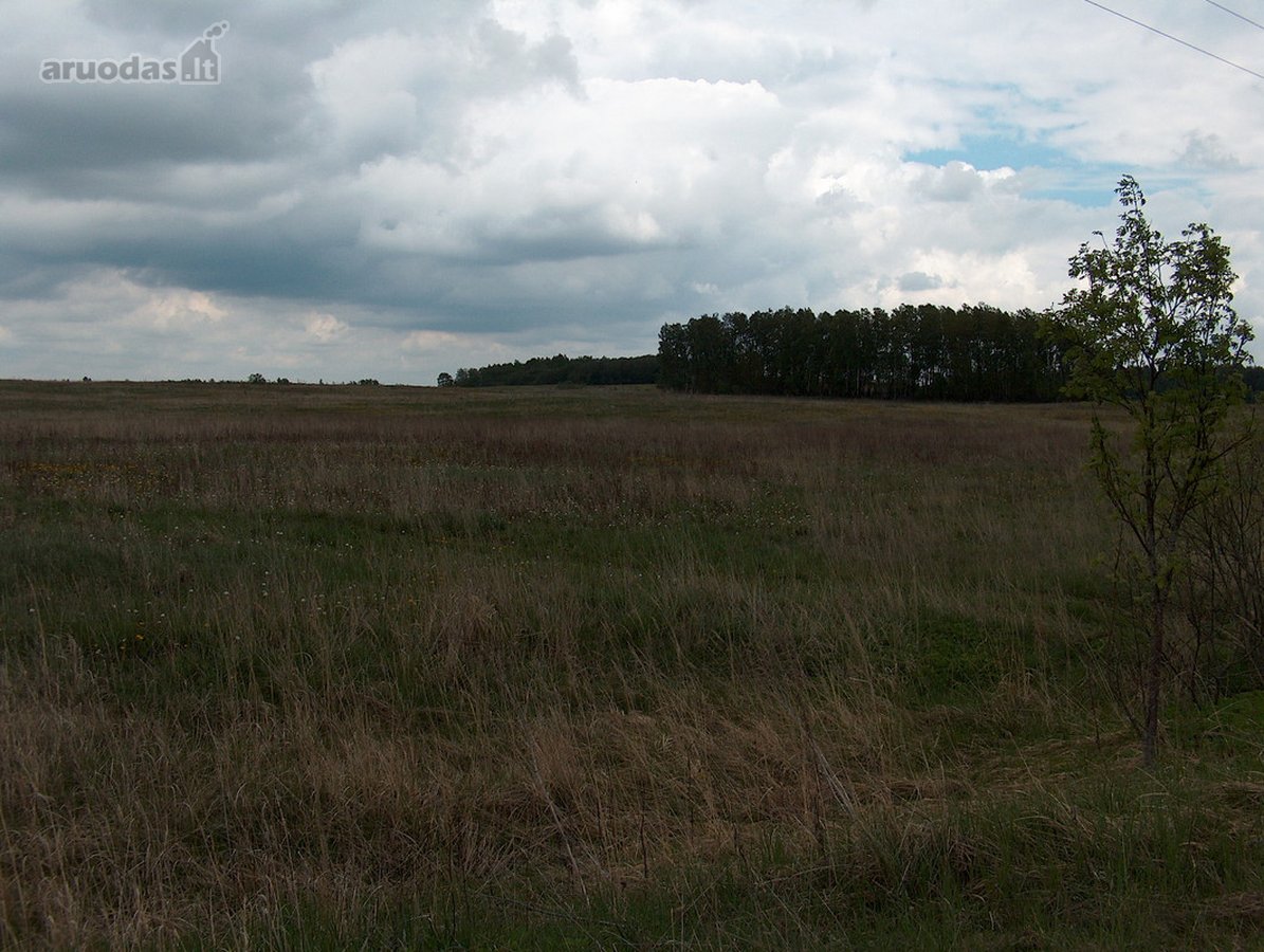 Investicinis Projektas Lietuvoje – 175 Ha - nuotraukos Nr. 3