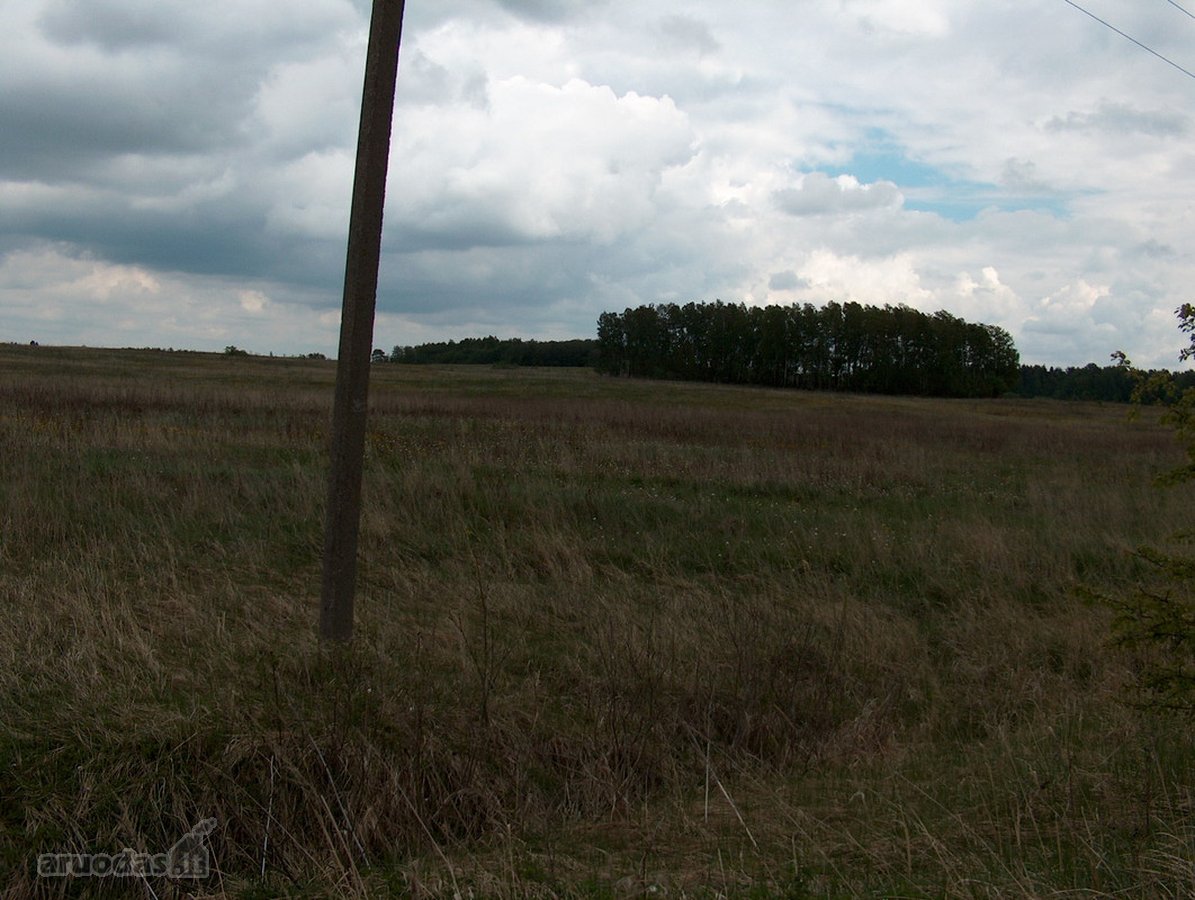 Investicinis Projektas Lietuvoje – 175 Ha - nuotraukos Nr. 4