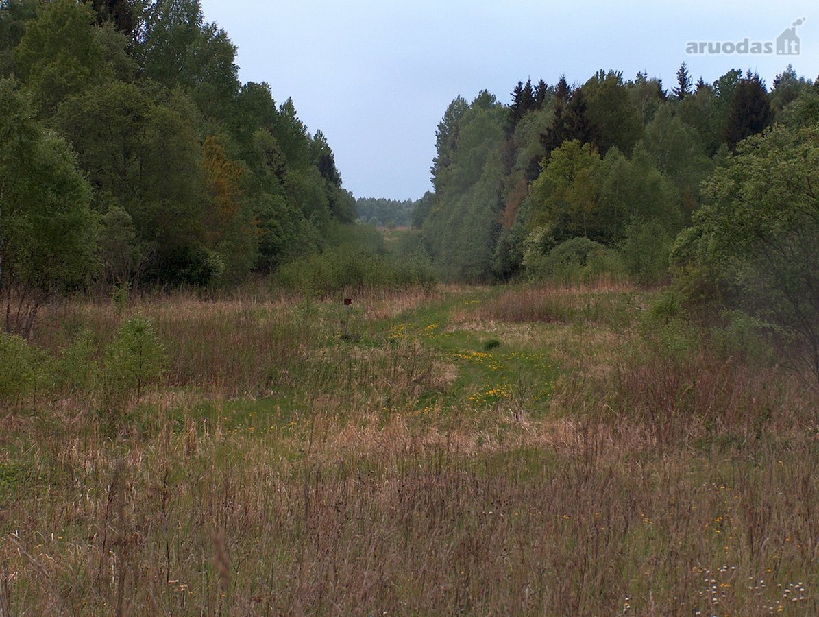 Investicinis Projektas Lietuvoje – 175 Ha - nuotraukos Nr. 5