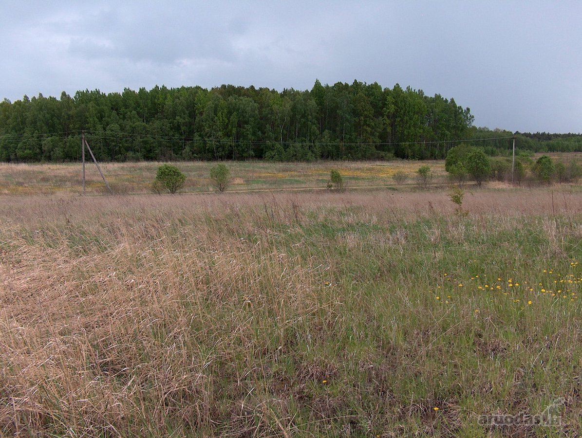 Investicinis Projektas Lietuvoje – 175 Ha - nuotraukos Nr. 7