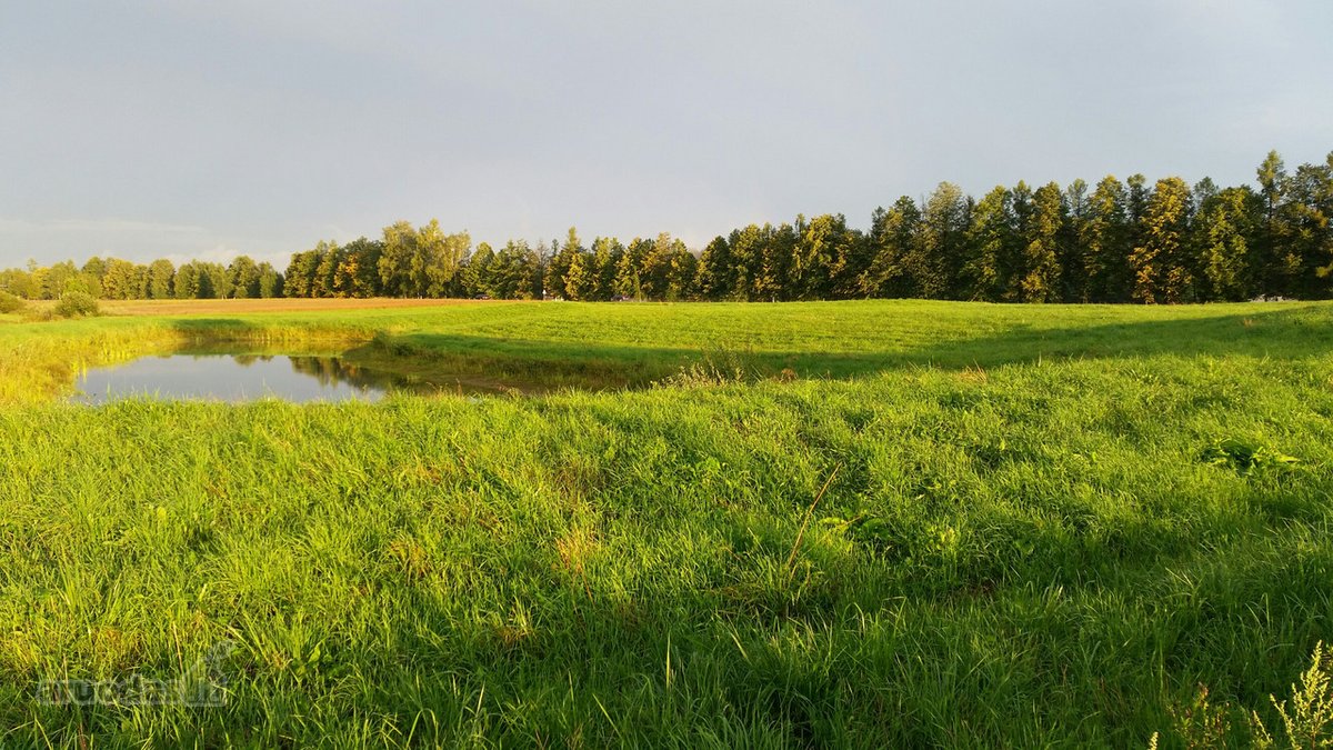 Lekėčių kaime, Šakių rajone, ramioje,