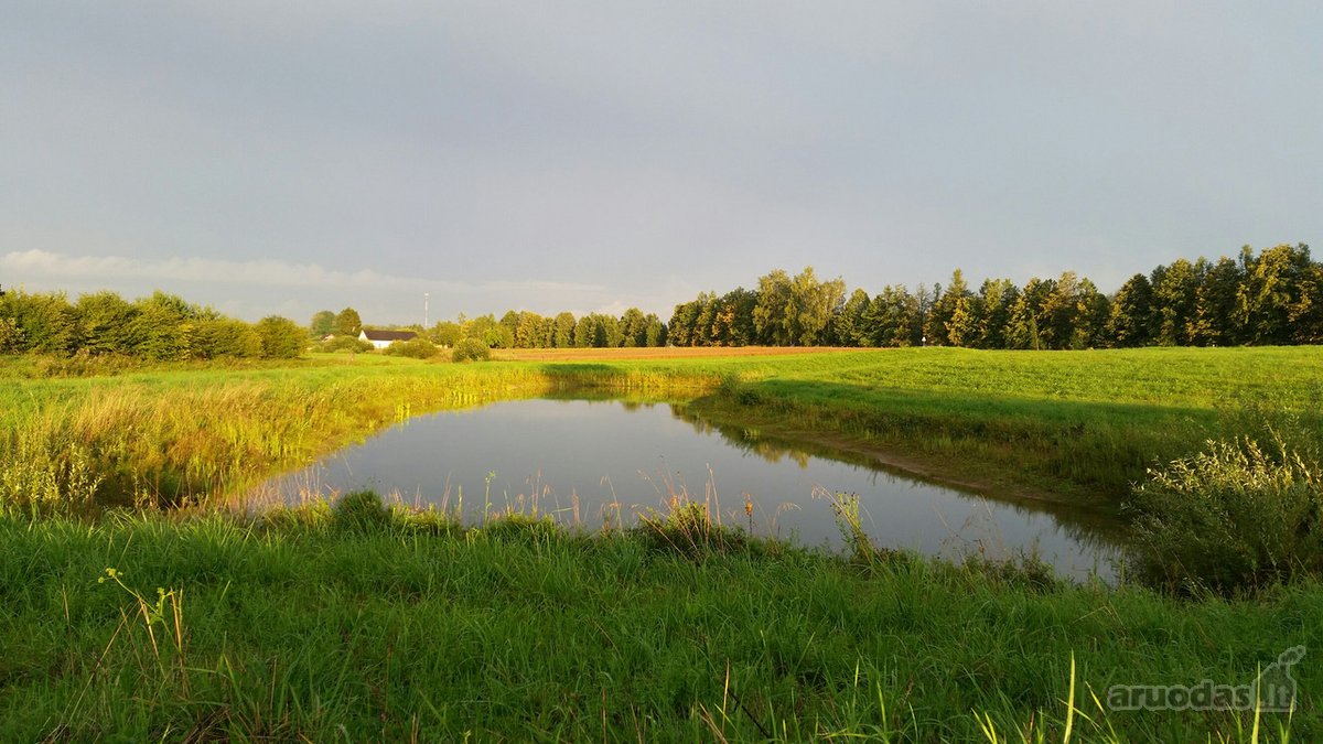 Lekėčių kaime, Šakių rajone, ramioje, - nuotraukos Nr. 2