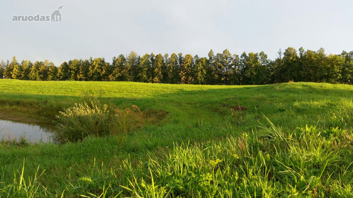 Lekėčių kaime, Šakių rajone, ramioje, - nuotraukos Nr. 3