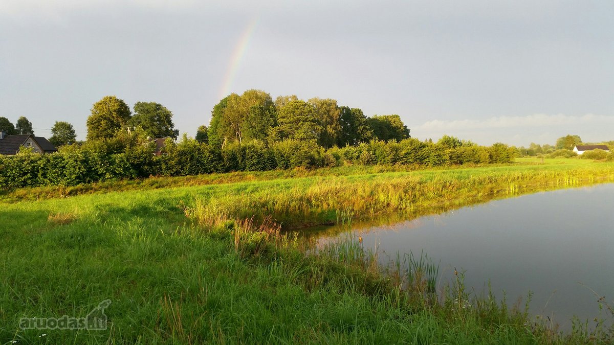 Lekėčių kaime, Šakių rajone, ramioje, - nuotraukos Nr. 4