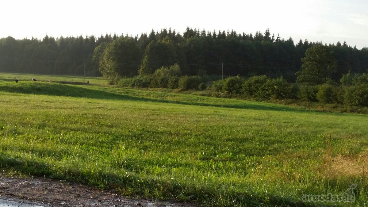 Lekėčių kaime, Šakių rajone, ramioje, - nuotraukos Nr. 8
