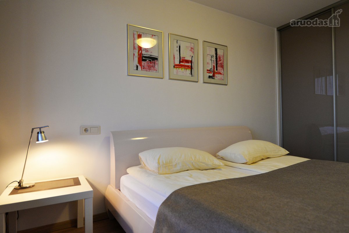 Druskininkų centre nuomuojami apartamentai. - nuotraukos Nr. 9