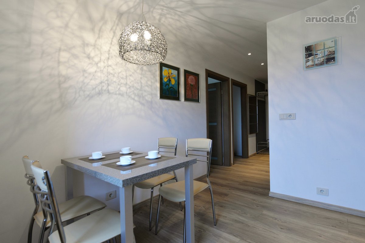 Druskininkų centre nuomuojami apartamentai. - nuotraukos Nr. 11