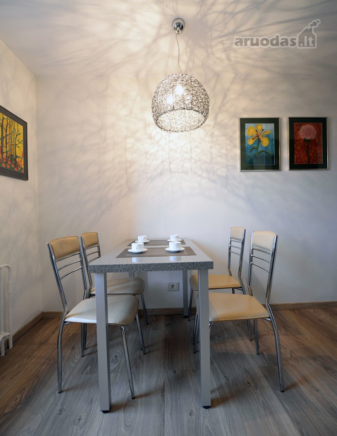 Druskininkų centre nuomuojami apartamentai. - nuotraukos Nr. 12