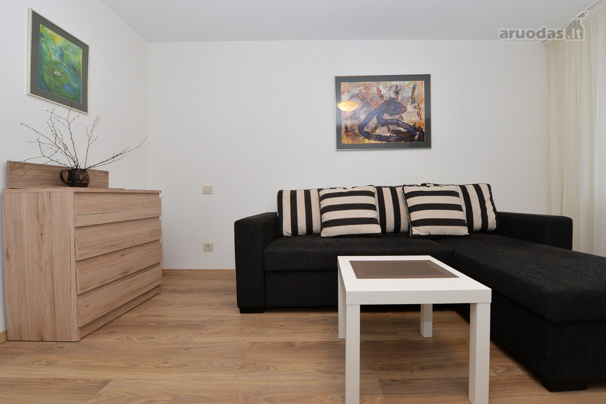 Druskininkų centre nuomuojami apartamentai. - nuotraukos Nr. 3