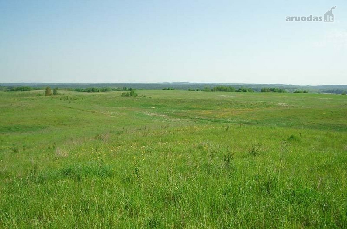 Dalį Šių Sklypų Kirs Nauja Rail Baltica - nuotraukos Nr. 4