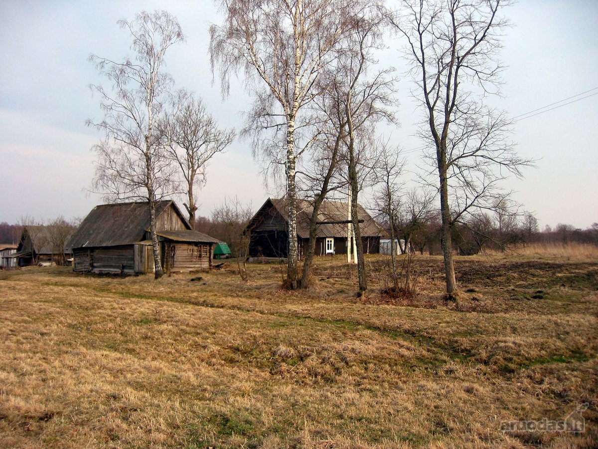 Parduodamos Dvi Sodybos 6 Ha Žemės Sklypuose - nuotraukos Nr. 3