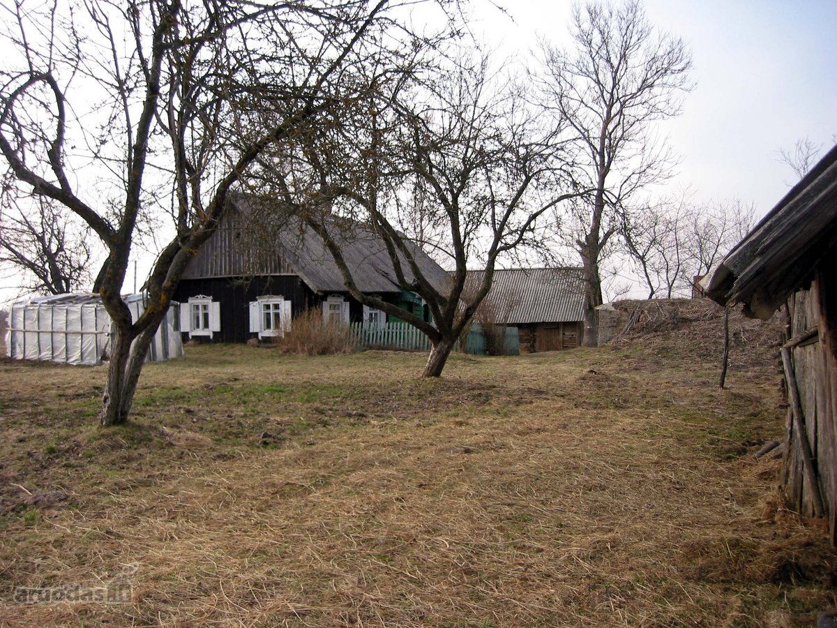 Parduodamos Dvi Sodybos 6 Ha Žemės Sklypuose - nuotraukos Nr. 5