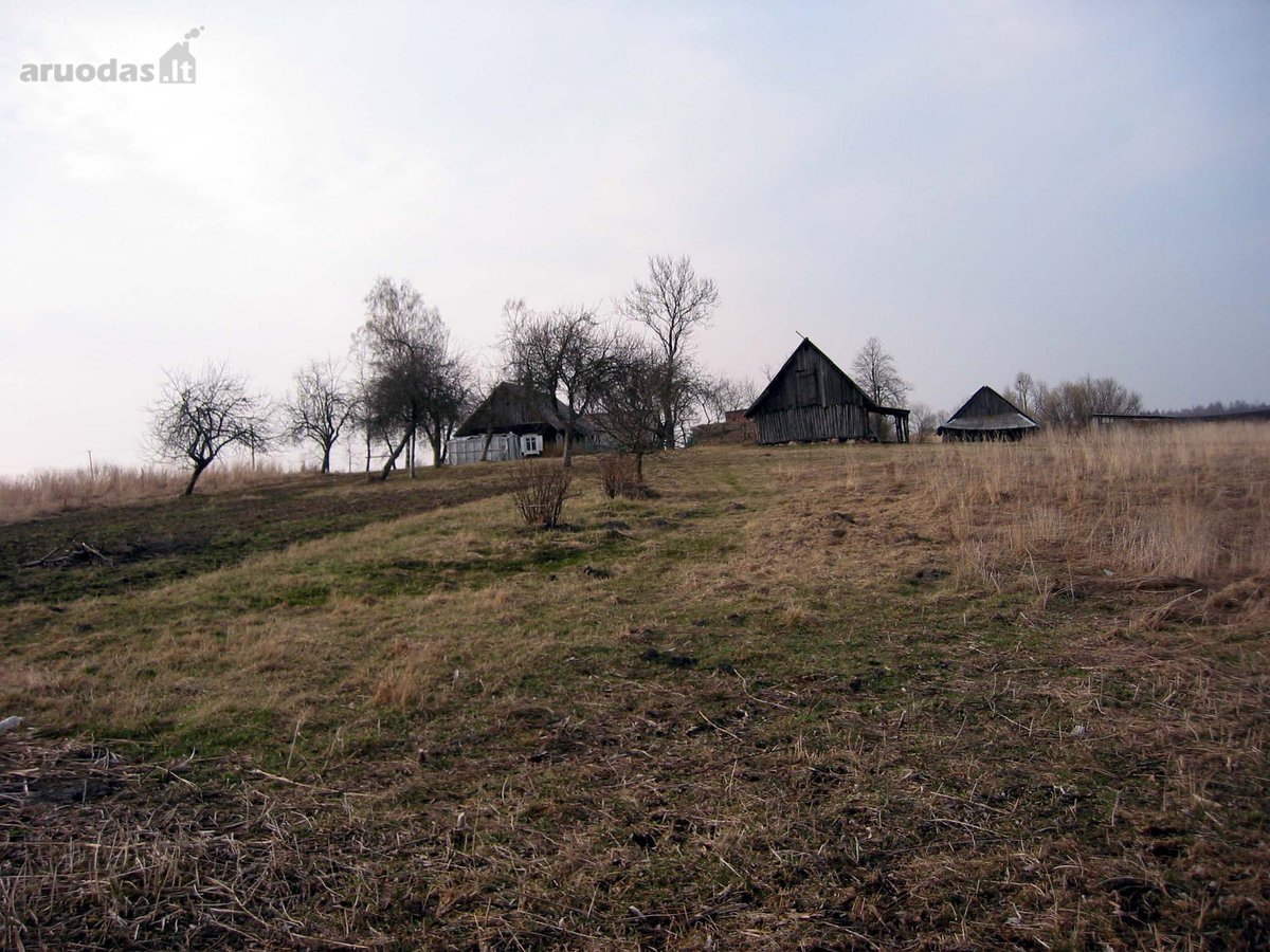 Parduodamos Dvi Sodybos 6 Ha Žemės Sklypuose - nuotraukos Nr. 8