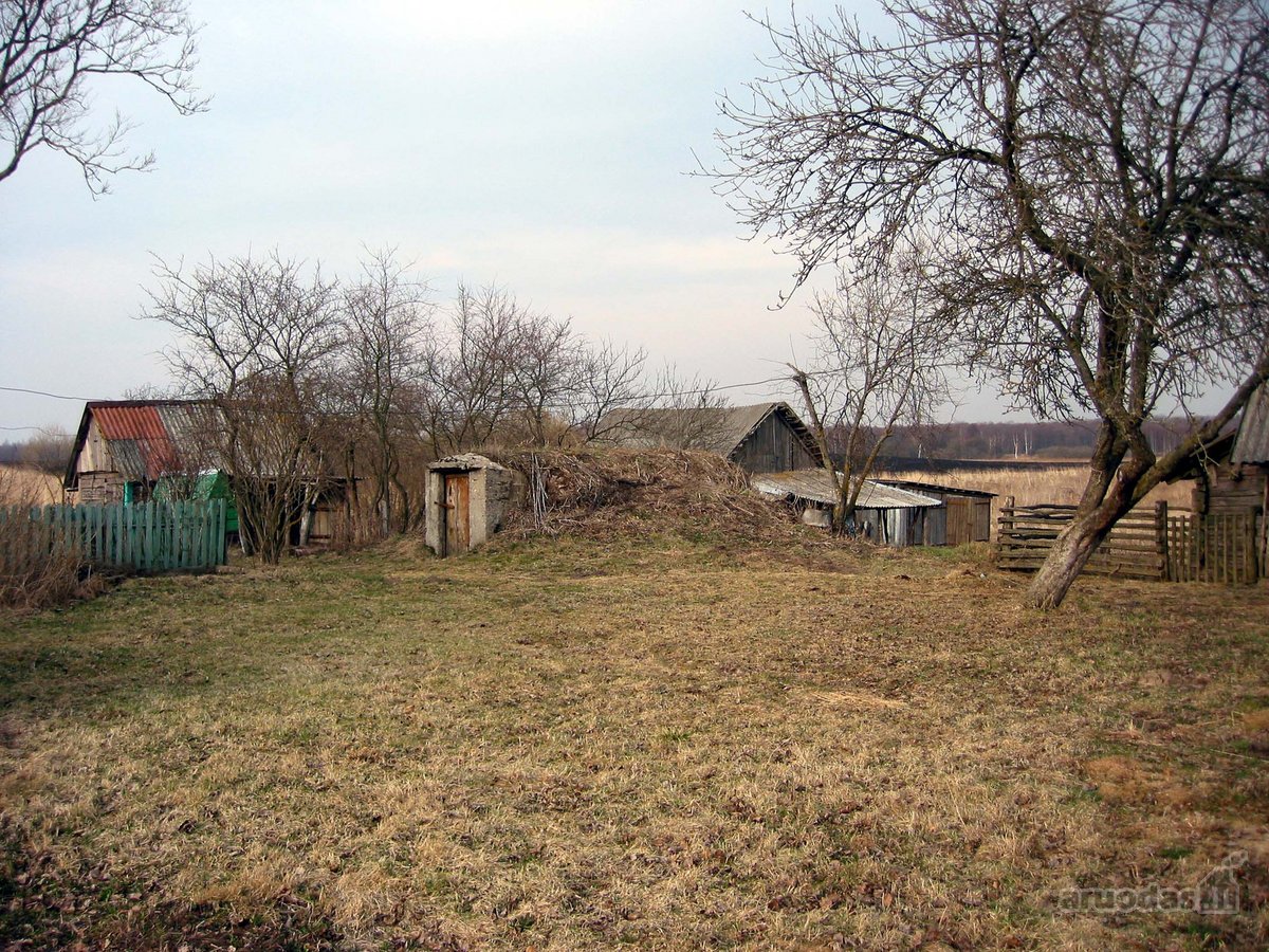 Parduodamos Dvi Sodybos 6 Ha Žemės Sklypuose - nuotraukos Nr. 9