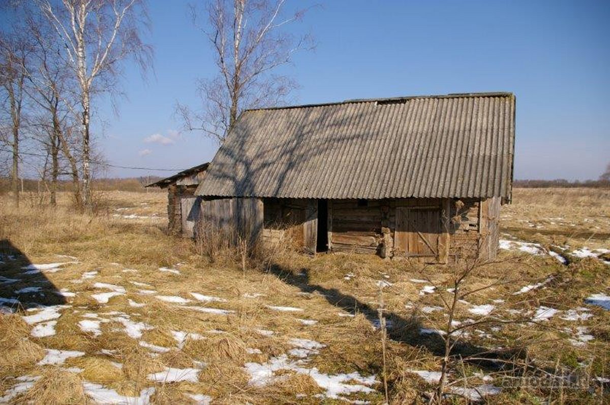 Parduodamos Dvi Sodybos 6 Ha Žemės Sklypuose - nuotraukos Nr. 11