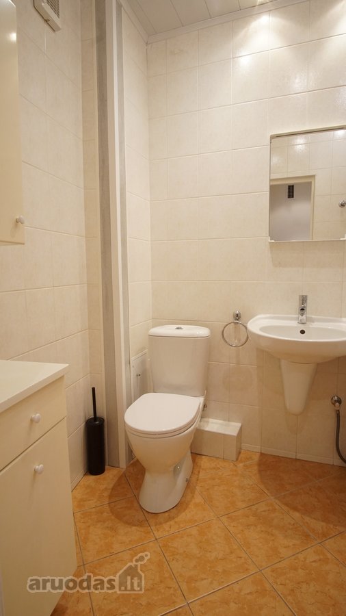 Išnuomoju min. 1 metų laikotarpiui erdvų ir - nuotraukos Nr. 15