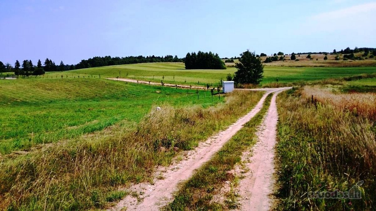 Makio ežero pakrantė, 123,47 m., 4,87 hektaro - nuotraukos Nr. 6