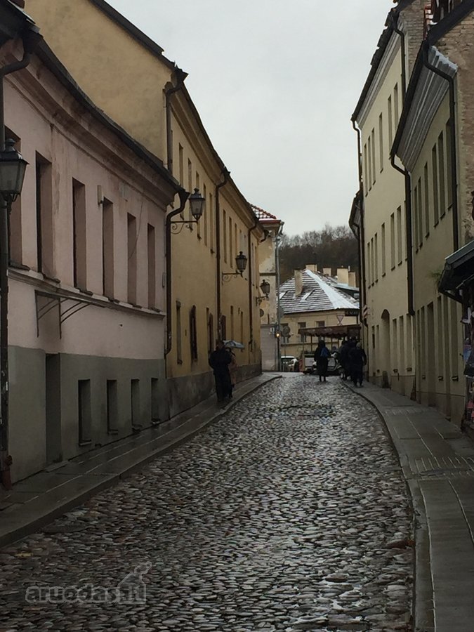 Išnuomojamos komercinės patalpos prestižinėje - nuotraukos Nr. 11