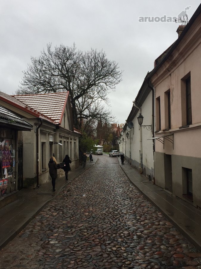 Išnuomojamos komercinės patalpos prestižinėje - nuotraukos Nr. 19