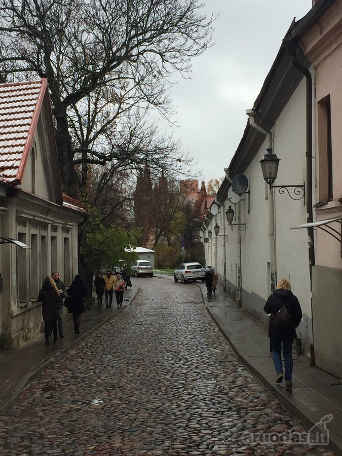 Išnuomojamos komercinės patalpos prestižinėje - nuotraukos Nr. 2