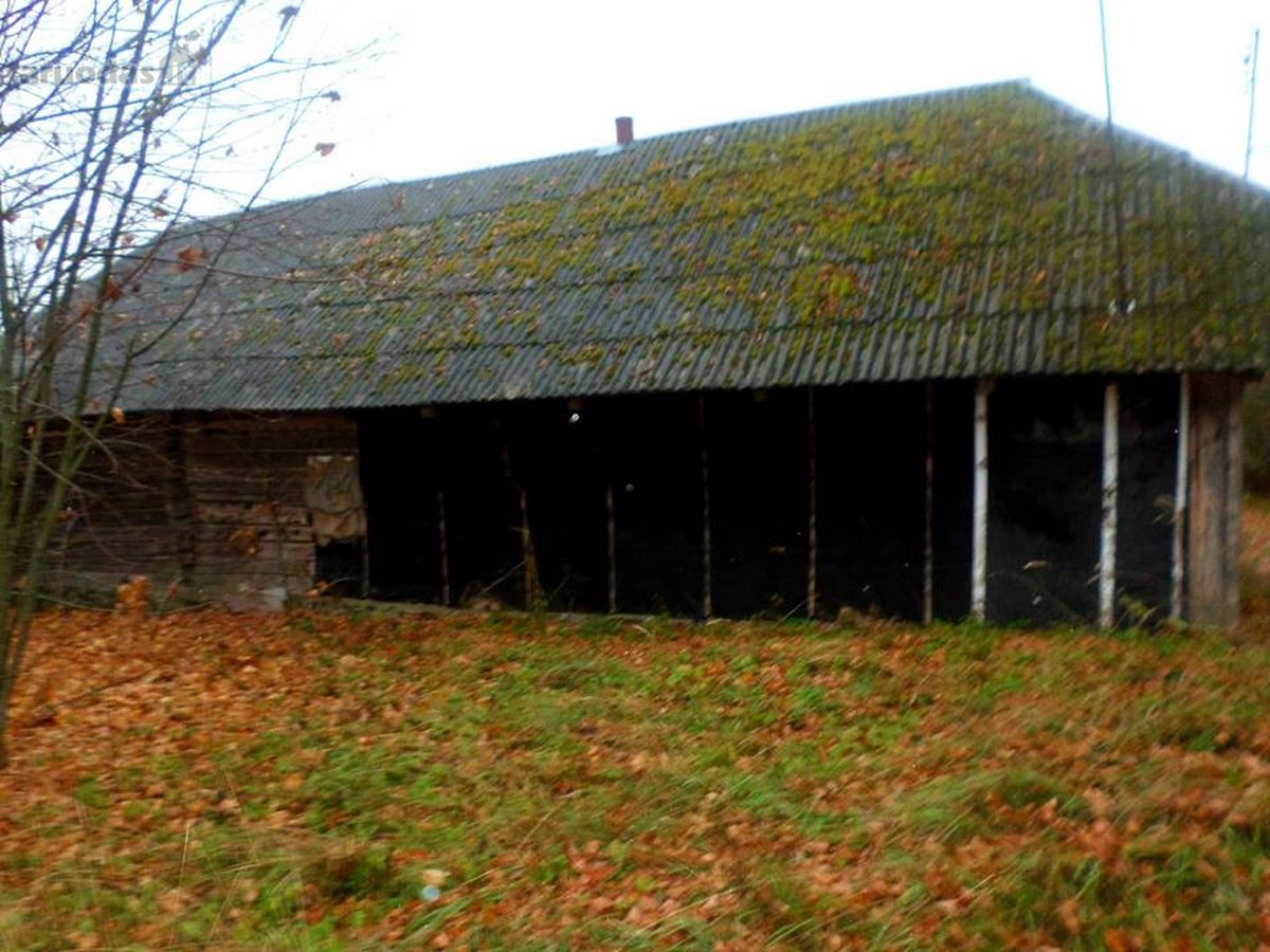 Ieškote ramybės, erdvės ir gamtos? Ši - nuotraukos Nr. 7