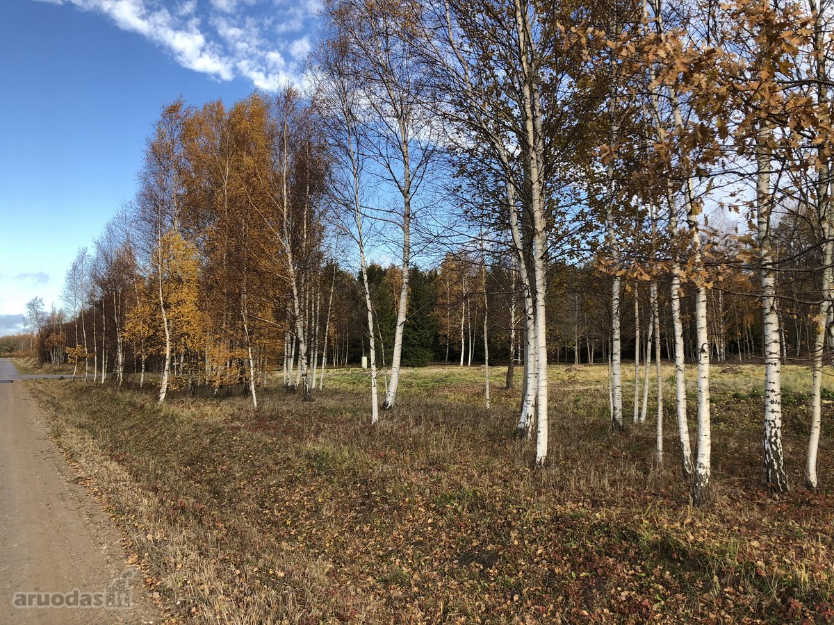 Išskirtinis Sklypas Gamtos Apsuptyje – 5 Km - nuotraukos Nr. 5