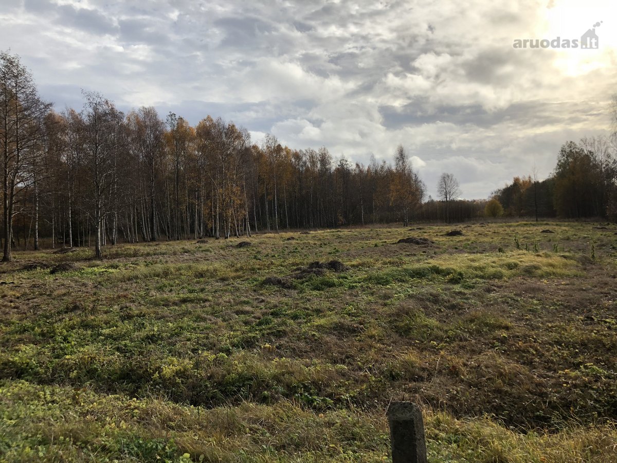 Išskirtinis Sklypas Gamtos Apsuptyje – 5 Km - nuotraukos Nr. 6