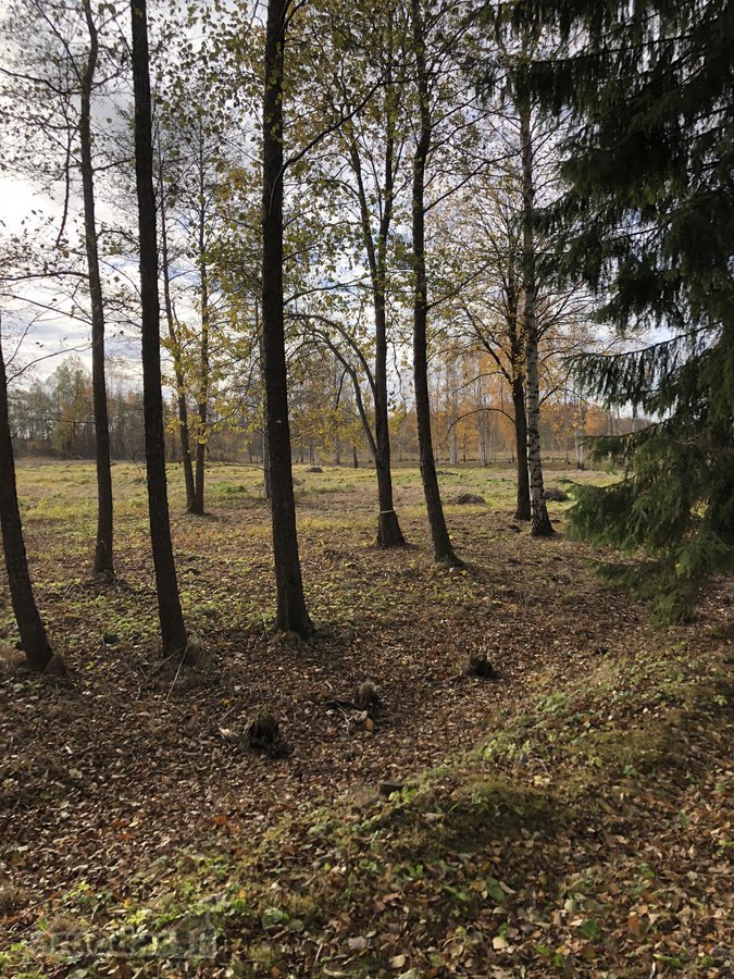 Išskirtinis Sklypas Gamtos Apsuptyje – 5 Km - nuotraukos Nr. 11