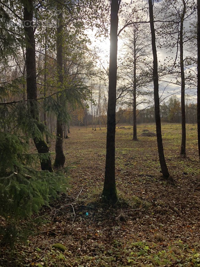 Išskirtinis Sklypas Gamtos Apsuptyje – 5 Km - nuotraukos Nr. 12