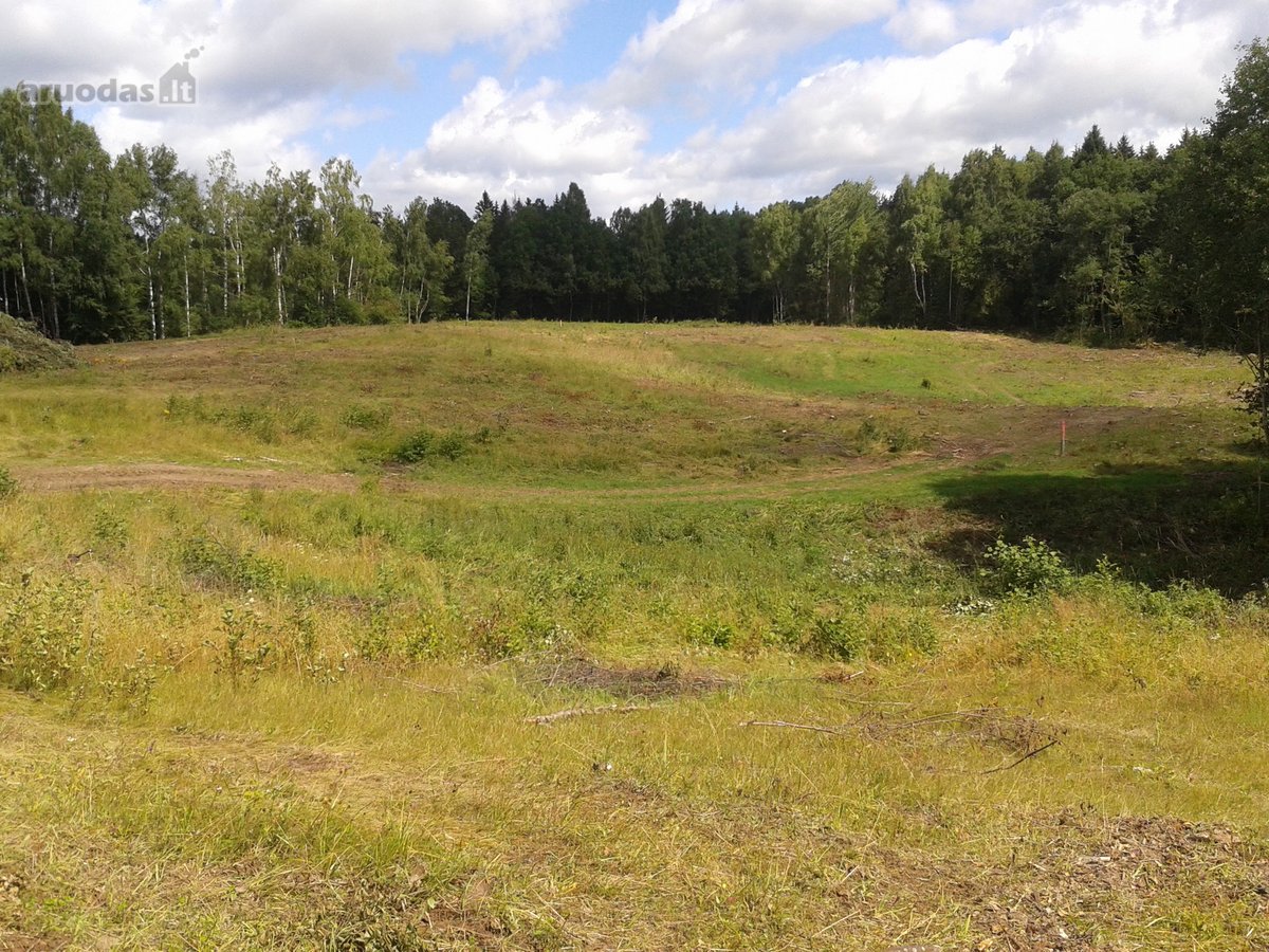 Parduodami 5 namų valdos sklypai po 15arų. - nuotraukos Nr. 19