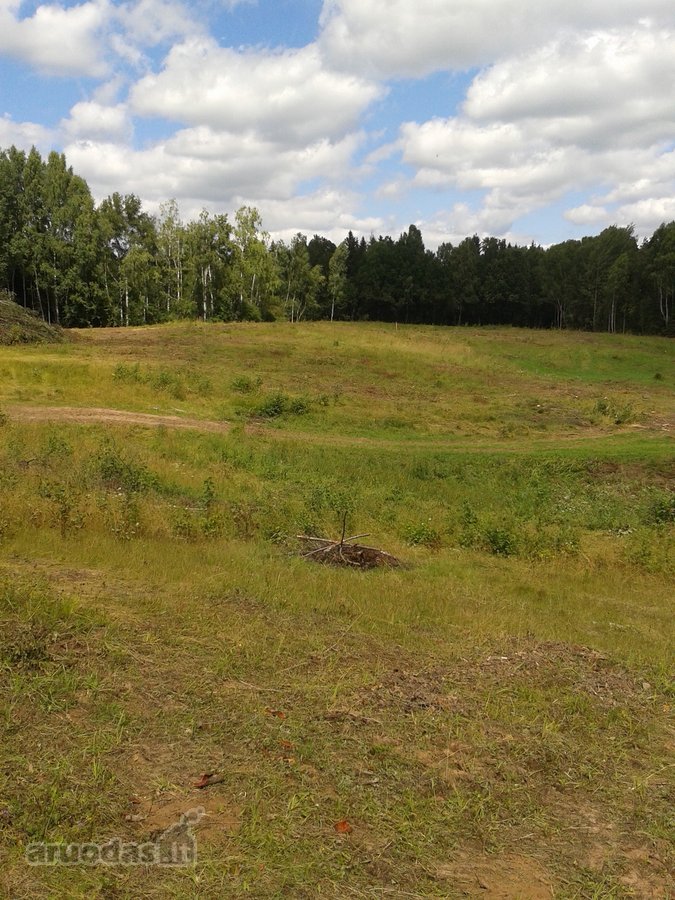 Parduodami 5 namų valdos sklypai po 15arų. - nuotraukos Nr. 26