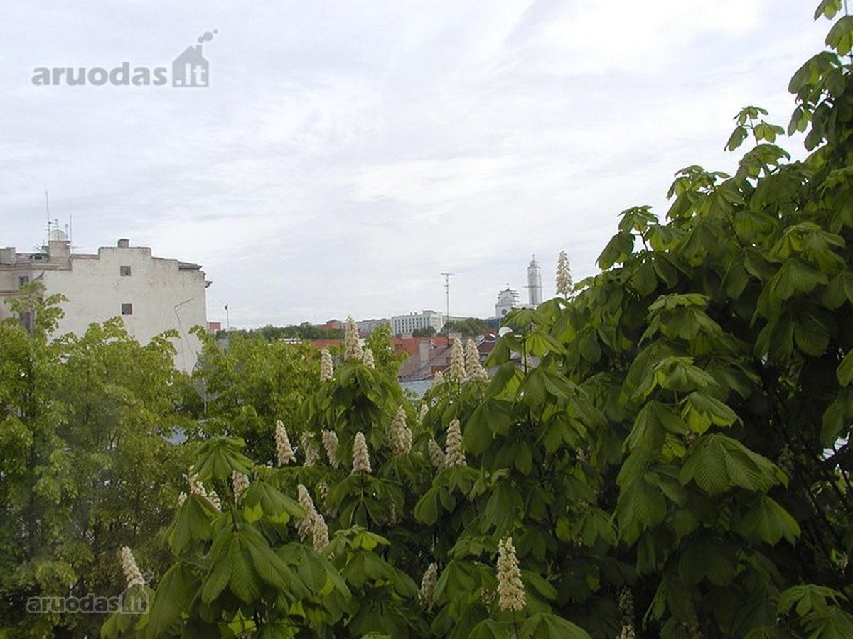 Nuomojamas 57 kv. m, 3 kambarių butas - nuotraukos Nr. 4