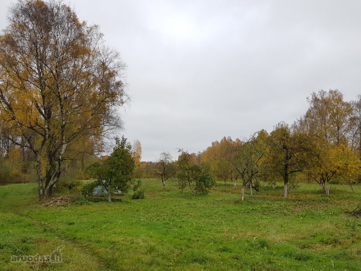 Parduodamas kitos paskirties (vienbučių ir - nuotraukos Nr. 8