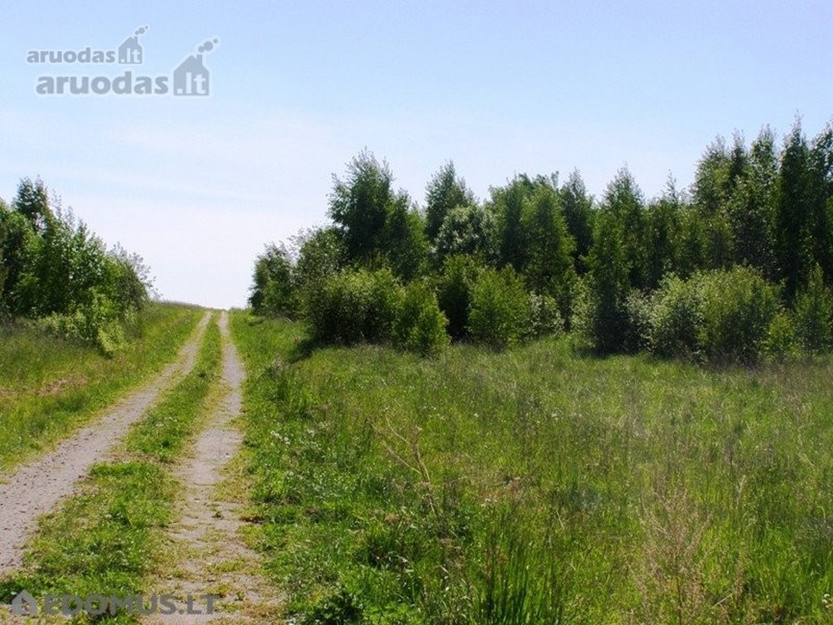Parduodamas 4,763 ha žemės sklypas Vilniaus - nuotraukos Nr. 5