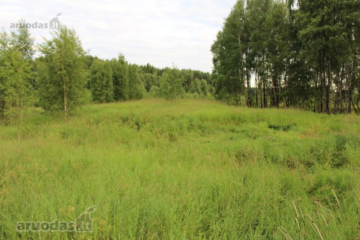 Parduodamas 4,763 ha žemės sklypas Vilniaus - nuotraukos Nr. 3
